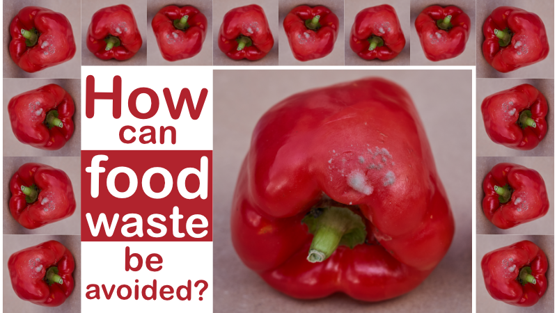How can food waste be avoided?